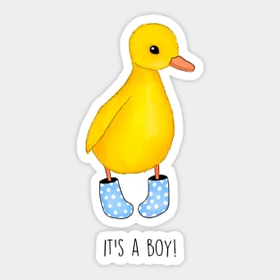 Chicky boy Sticker